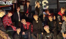 韩娱吃瓜爆料seventeen,揭秘偶像背后的真实故事